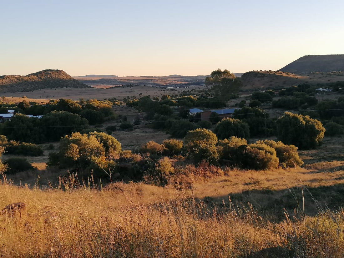 Tipiese Deurgang na die Karoo landskap vanaf Overschot