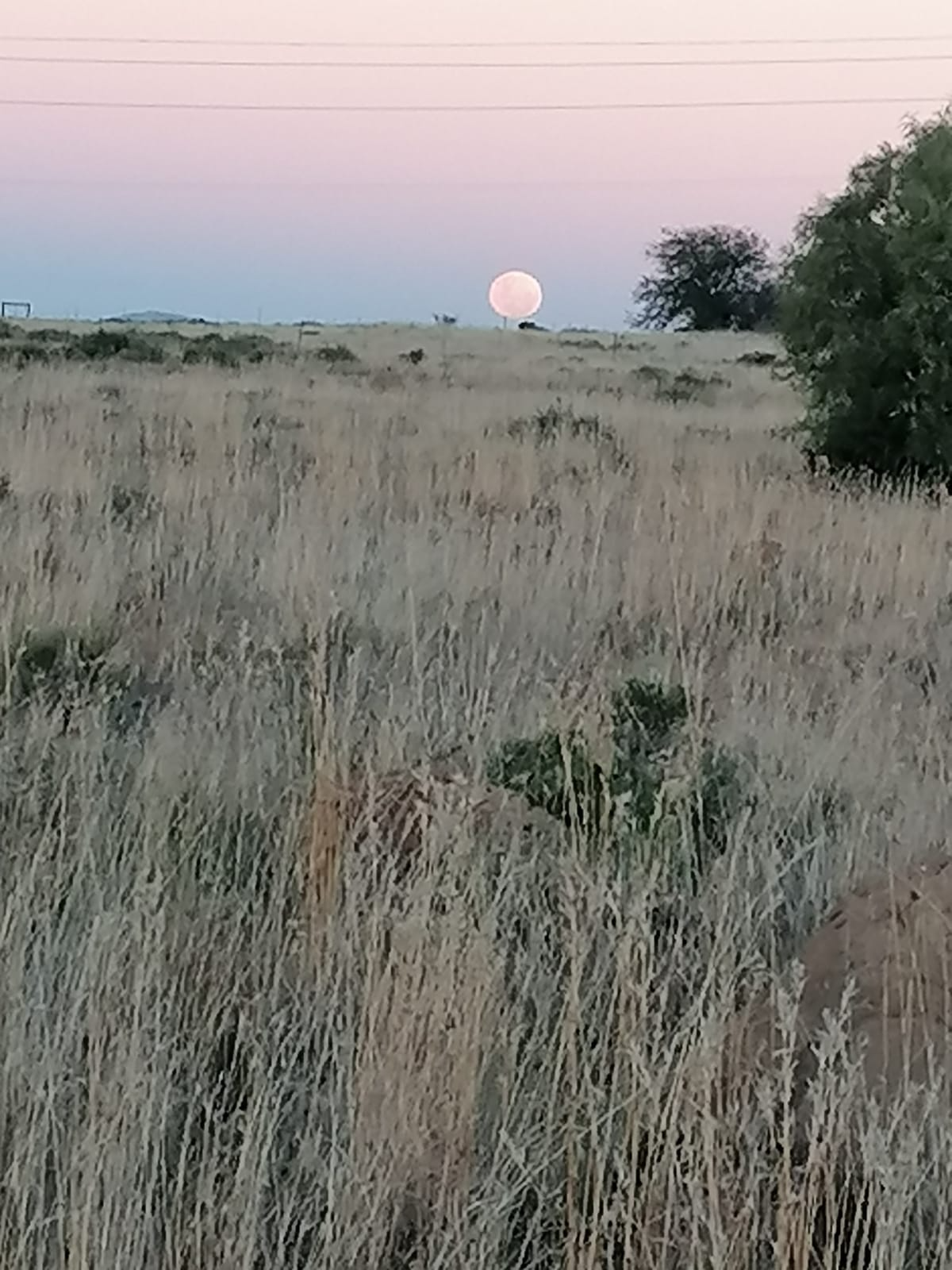 Blue moon opkoms oor Overschot se plaas — Gateway to the Karoo
