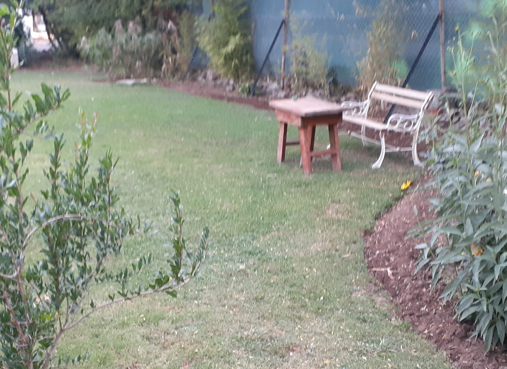 Tuin Huis lounge with antique furniture