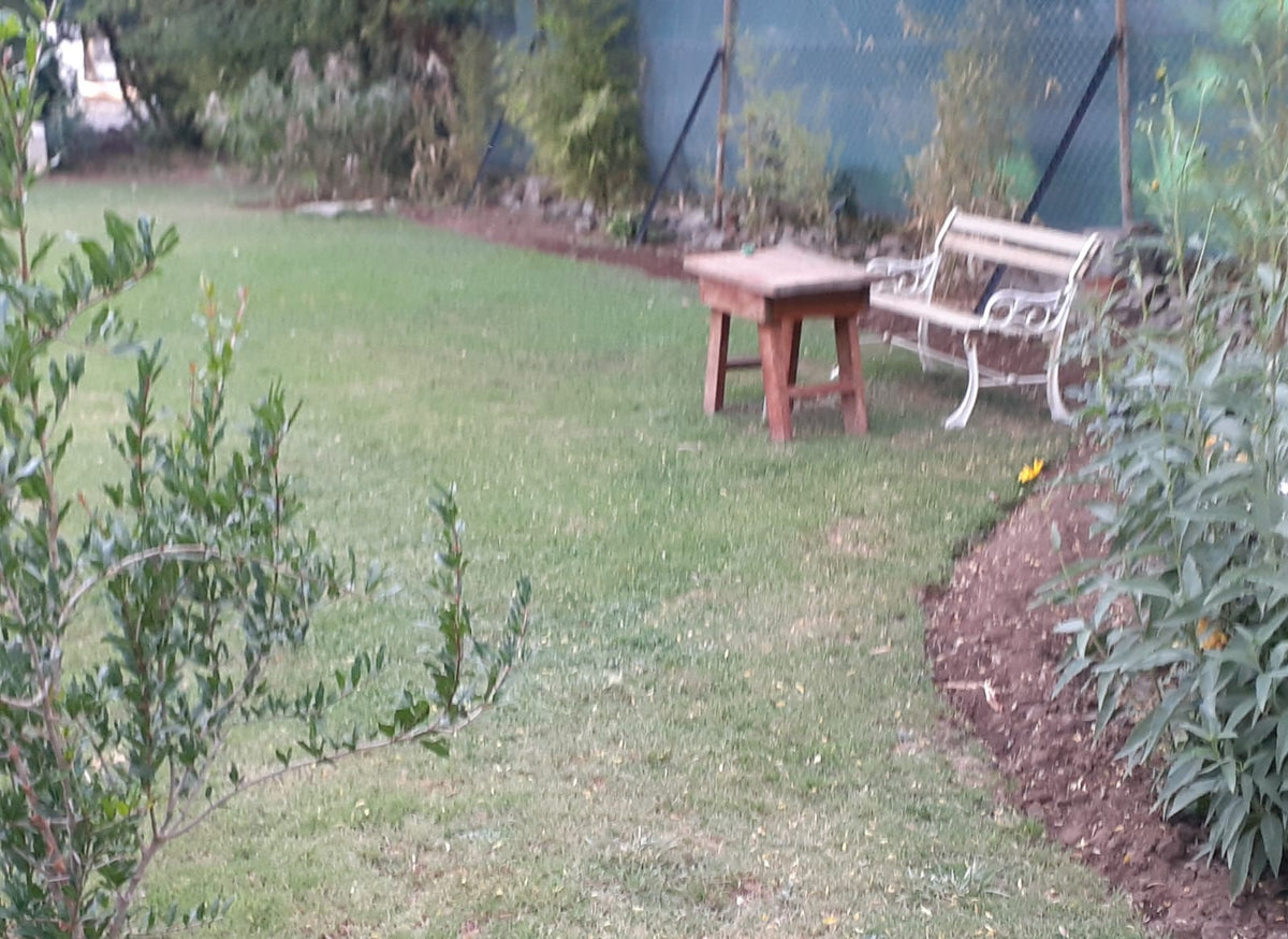 Tuin Huis lounge with antique furniture