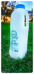 Goat Milk